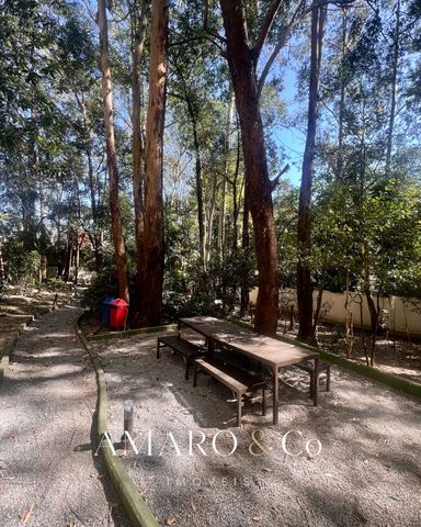 Bosque