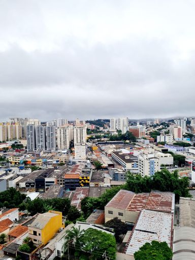 Vista