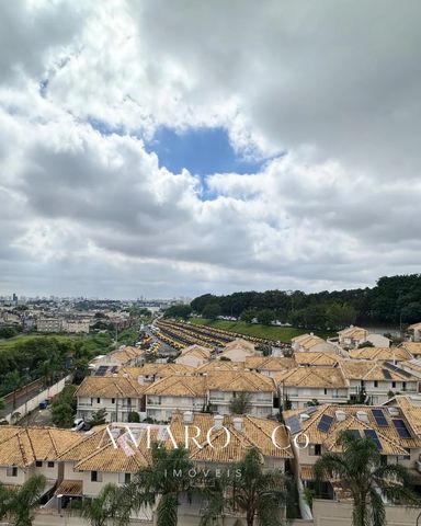 Vista