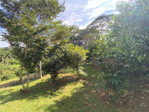 Area Verda Lateral
