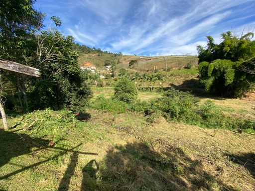 Area verde de fundos