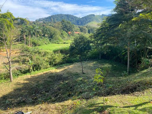 Area verde de fundos