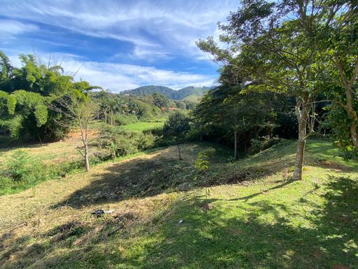 Area verde de fundos