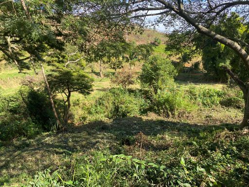 Area verde de fundos