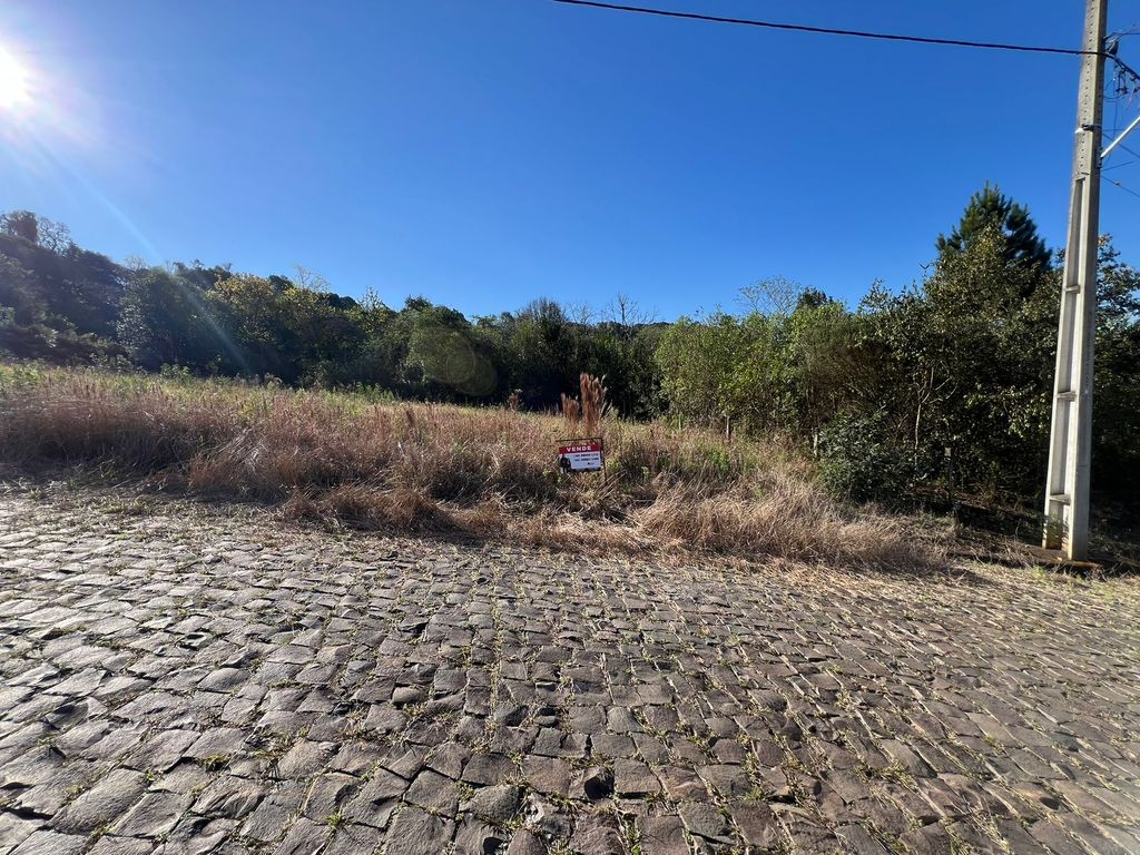 Imagem do imóvel Terreno / Lote para vender no bairro Vila de Carli, Videira - Santa Catarina