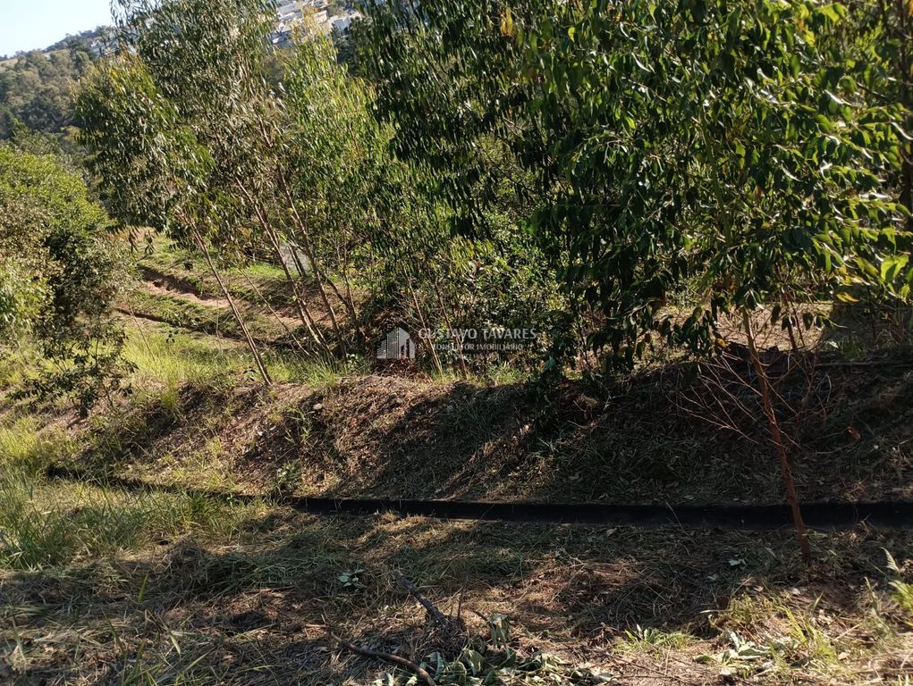 Terreno, 344 m² - Foto 10