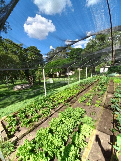 Sítio, 6 quartos, 3 hectares - Foto 45