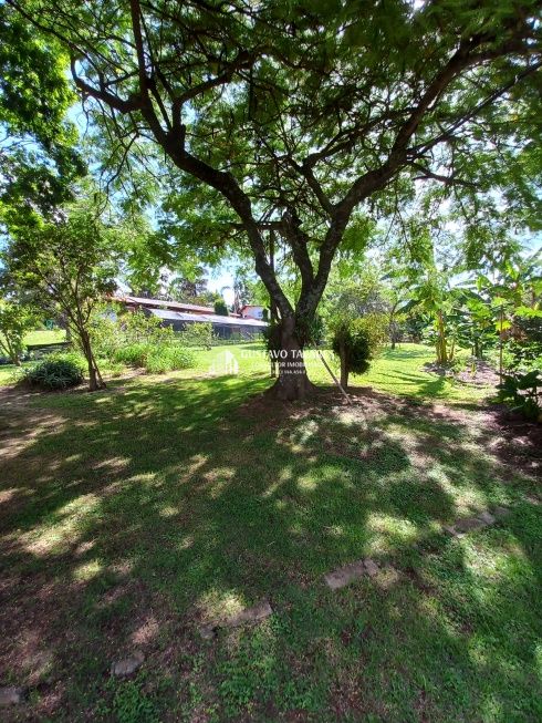 Sítio, 6 quartos, 3 hectares - Foto 61