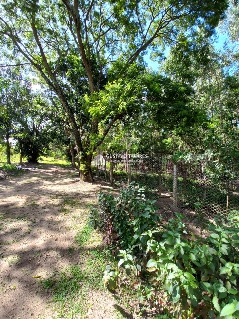 Sítio, 6 quartos, 3 hectares - Foto 67