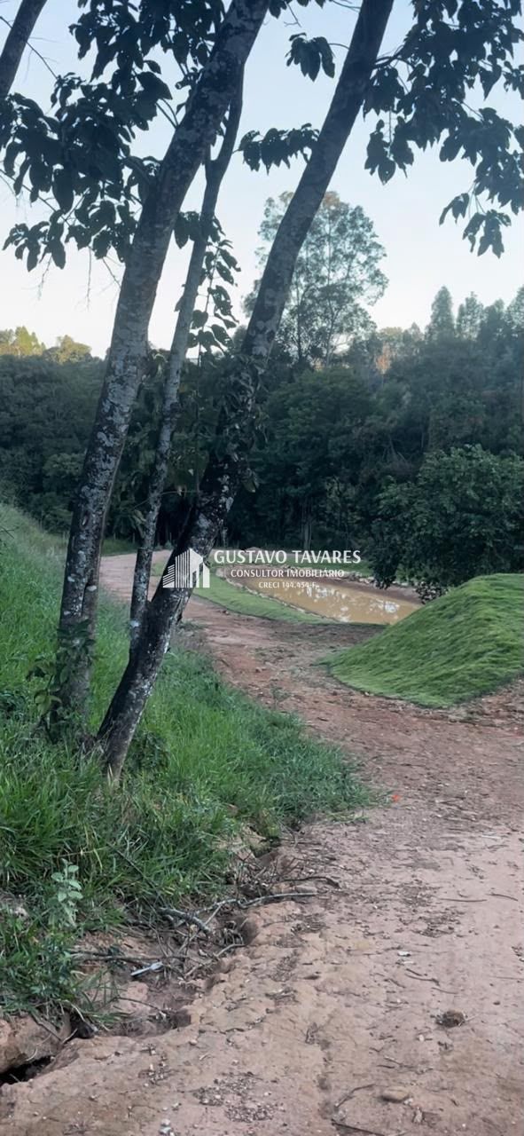 Terreno, 2 hectares - Foto 3