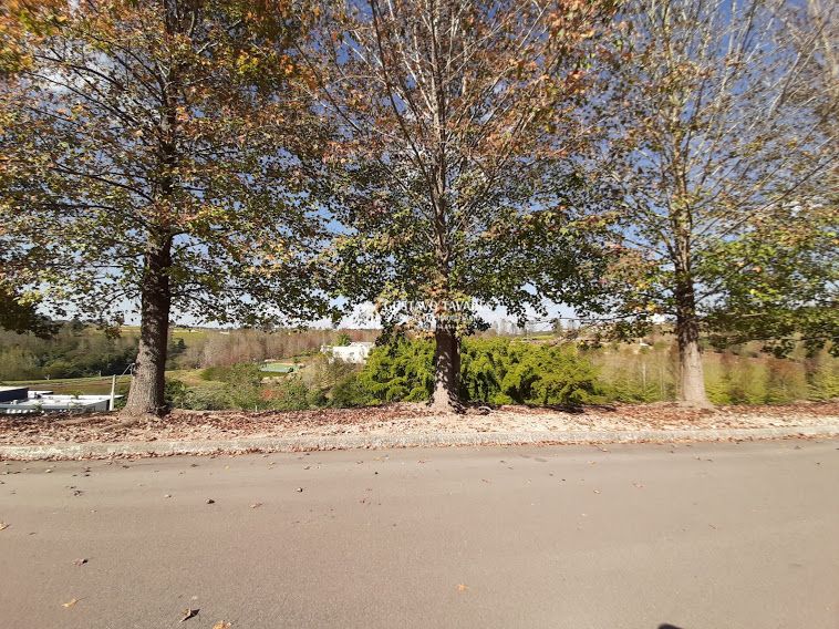 Sítio, 7 quartos, 10000 m² - Foto 2