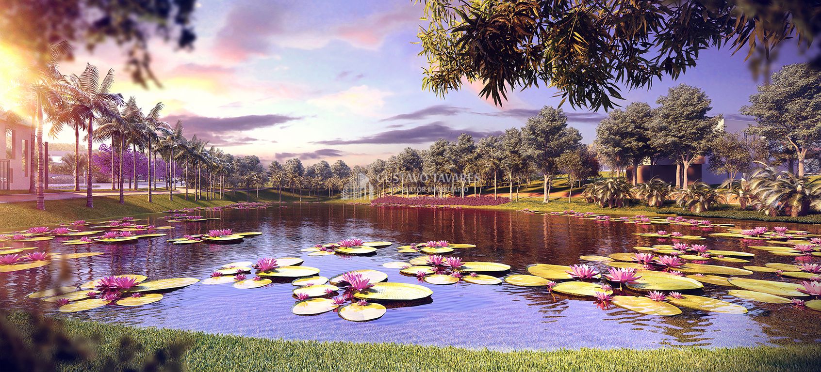 Terreno, 250 m² - Foto 4