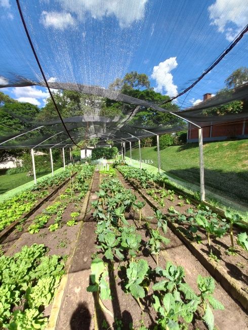 Sítio, 6 quartos, 3 hectares - Foto 46