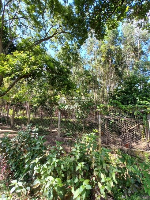 Sítio, 6 quartos, 3 hectares - Foto 66