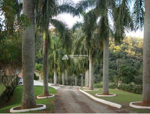 Sítio, 4 quartos, 6 hectares - Foto 42