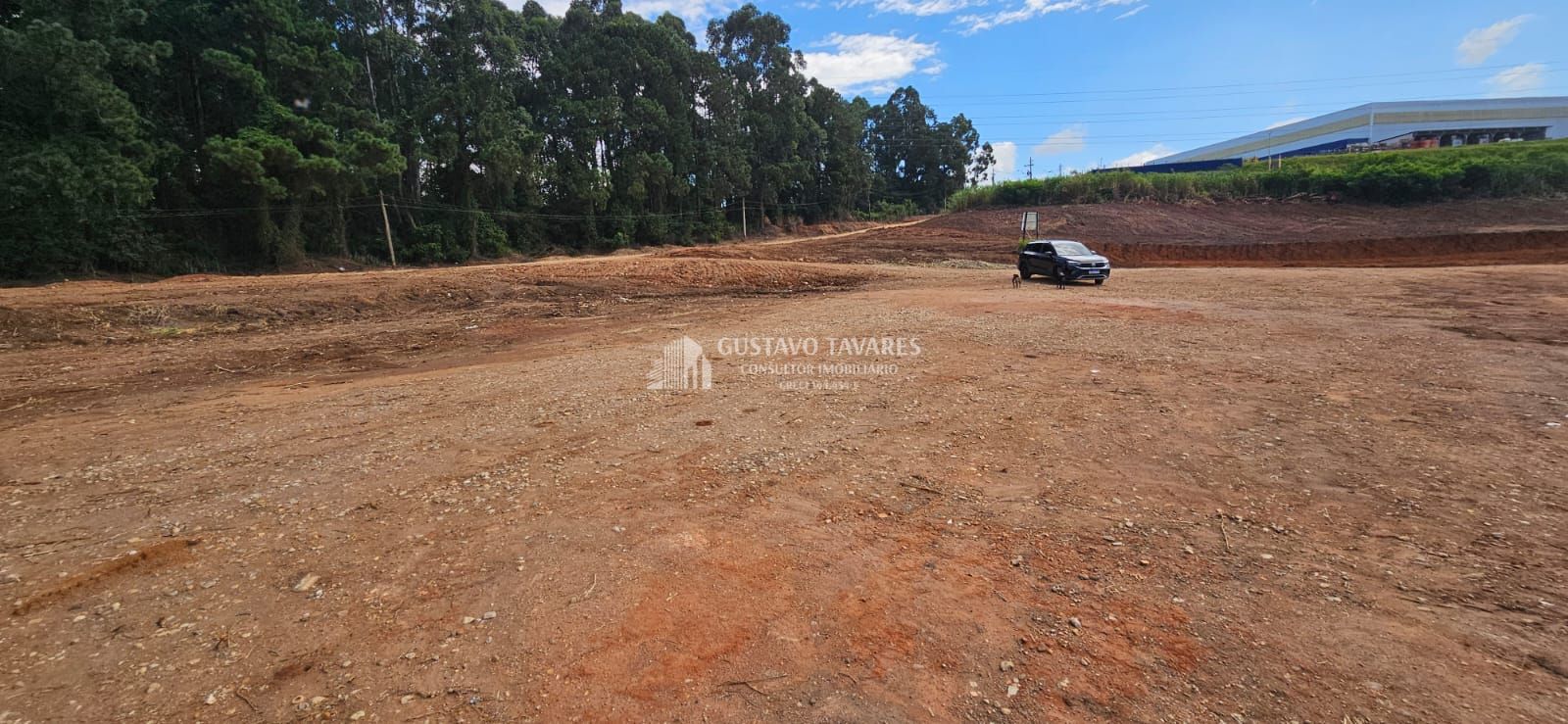 Terreno, 5 hectares - Foto 2