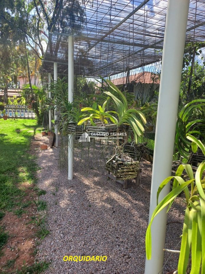 Sítio, 6 quartos, 3 hectares - Foto 7