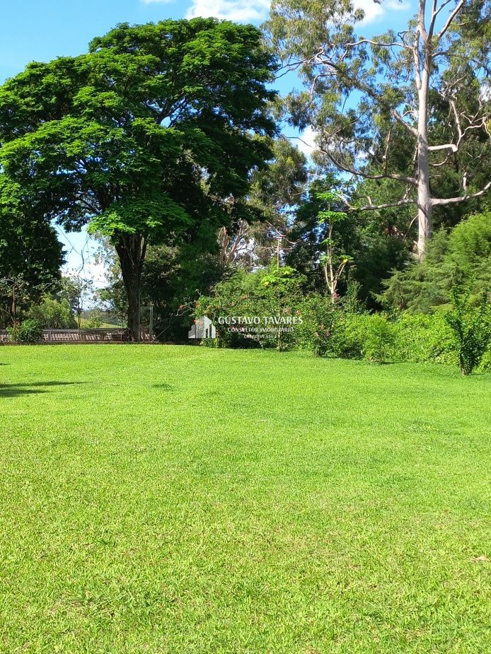 Sítio, 6 quartos, 3 hectares - Foto 14
