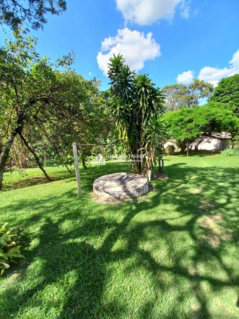 Sítio, 6 quartos, 3 hectares - Foto 48