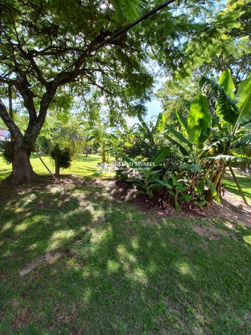 Sítio, 6 quartos, 3 hectares - Foto 62
