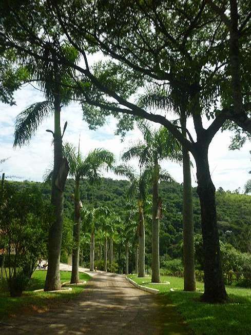 Sítio, 4 quartos, 6 hectares - Foto 49