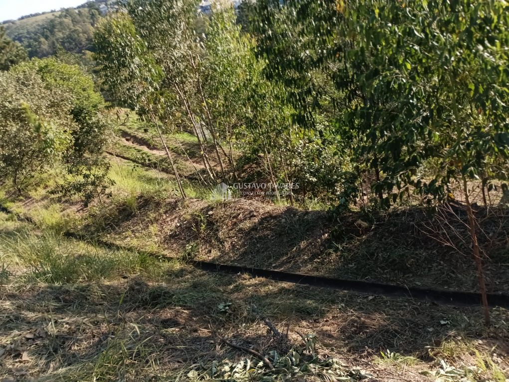 Terreno, 344 m² - Foto 9