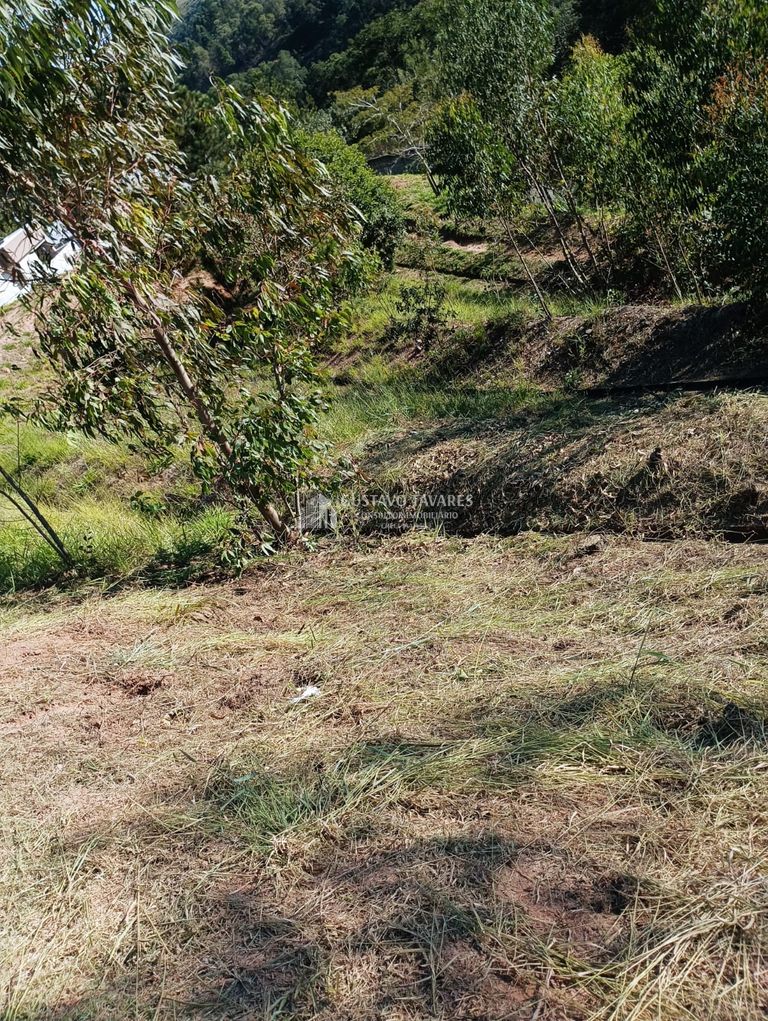 Terreno, 344 m² - Foto 19