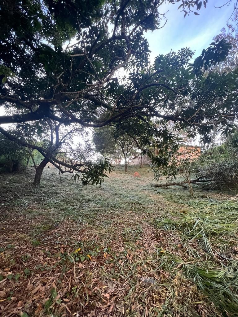 Terreno, 2081 m² - Foto 3