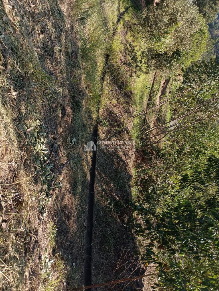 Terreno, 344 m² - Foto 11