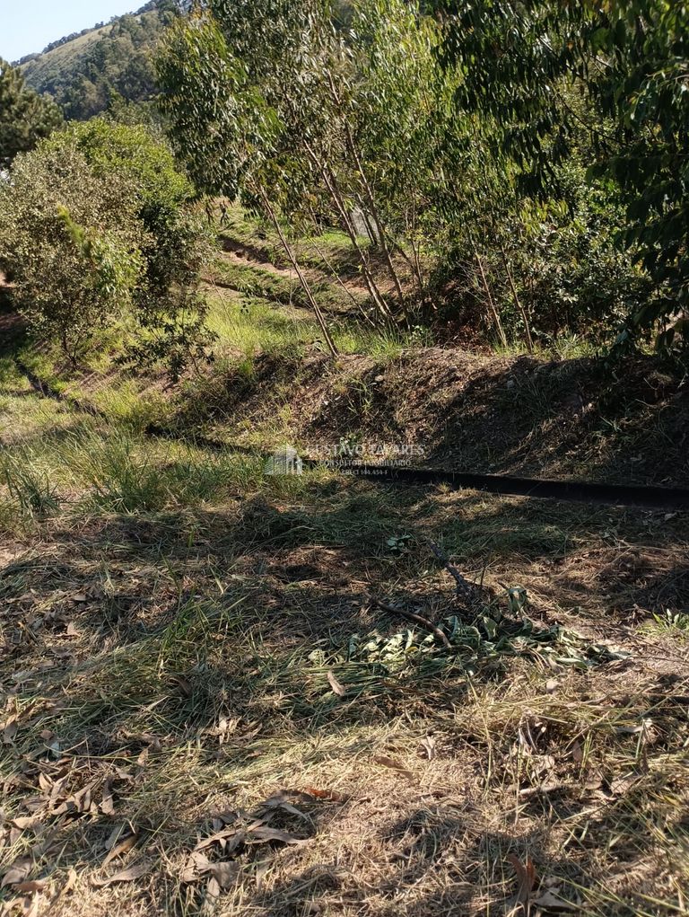 Terreno, 344 m² - Foto 17