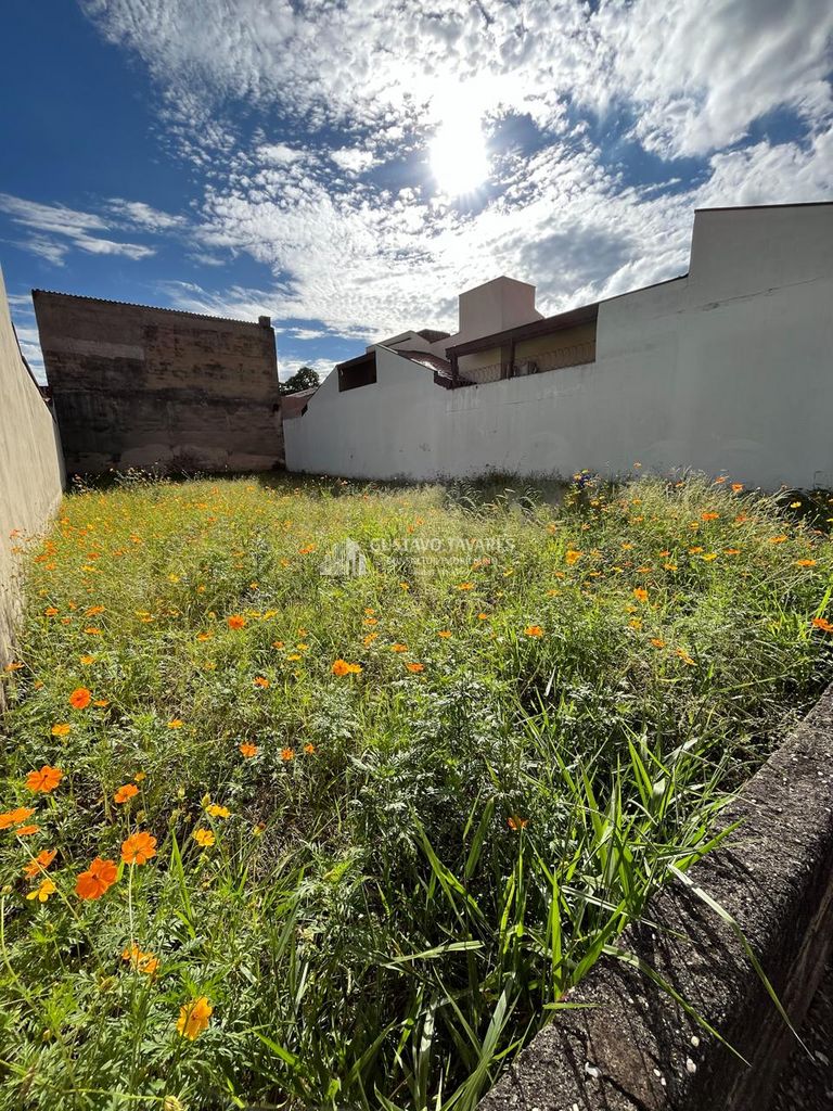 Terreno, 250 m² - Foto 7