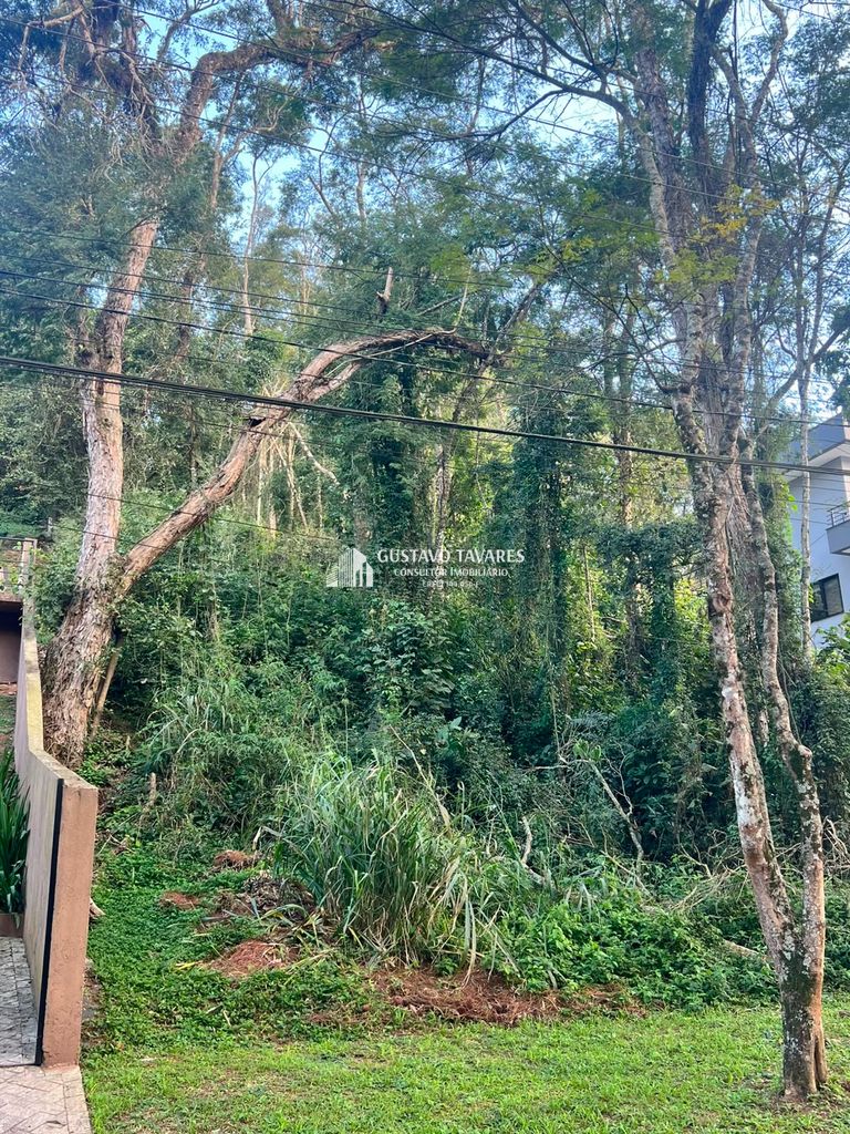 Terreno, 1270 m² - Foto 7