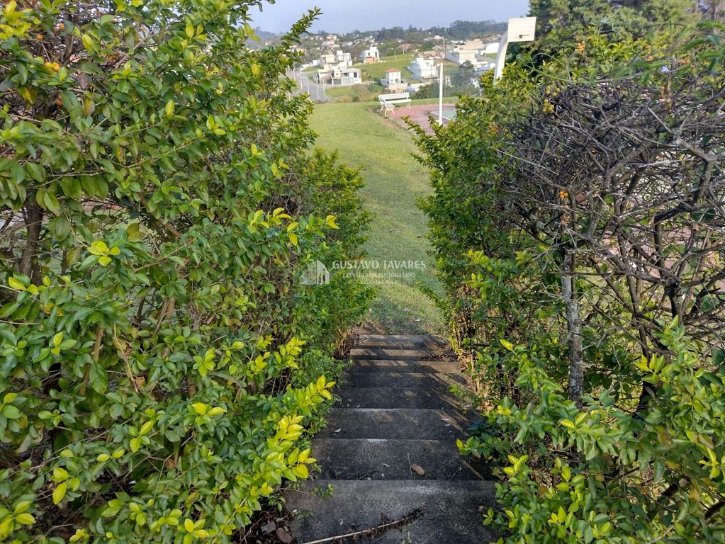 Terreno, 1 hectares - Foto 12