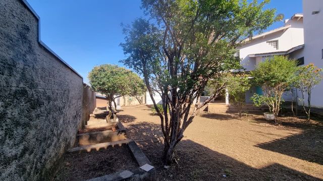 Vista da churrasqueira para quintal