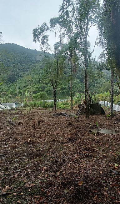 Terreno amplo, cercado por natureza, com muitas árvores, ar puro e uma vista privilegiada para a montanha.