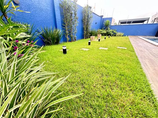 jardim