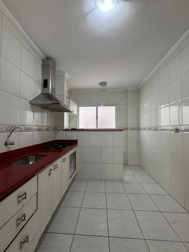 Cozinha com uma pia, cooktop e coifa.